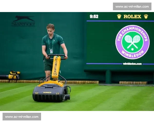 温网「雨布魔法」:百年草地的守护者 温网「雨布魔法」:百年草地的守护者